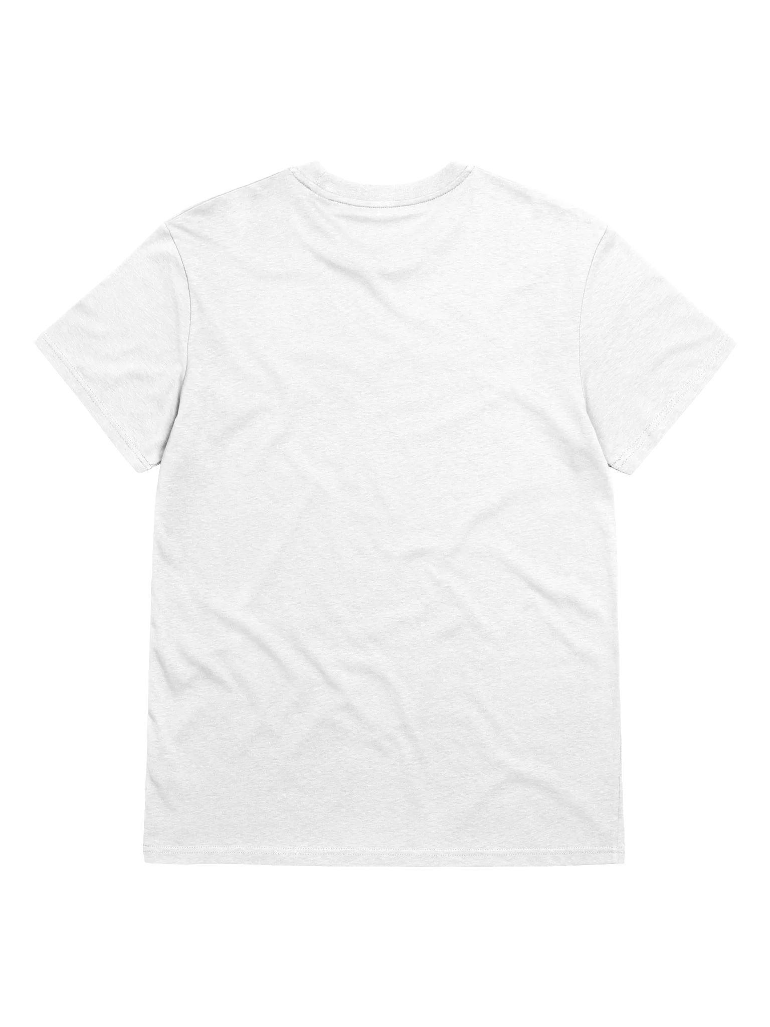 ANTI-HEAR ME OUT SHIRT (LGBT VERSION) product image (2)