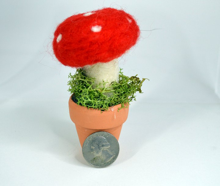 Mushroom product image (1)