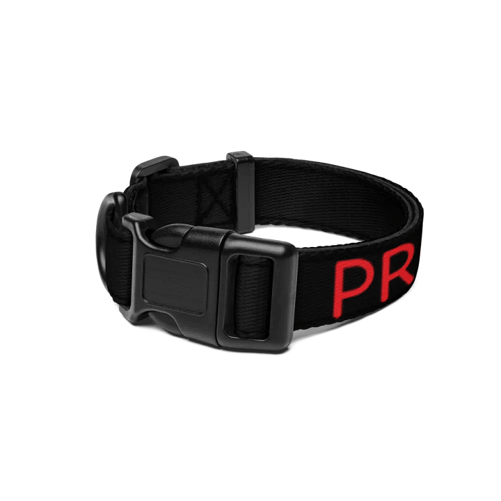 Bold Red Pet Collar by Pro Synth Network product image (1)