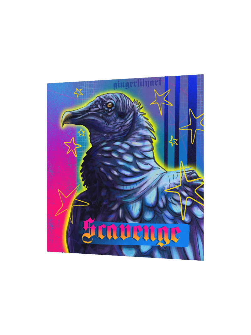 black vulture