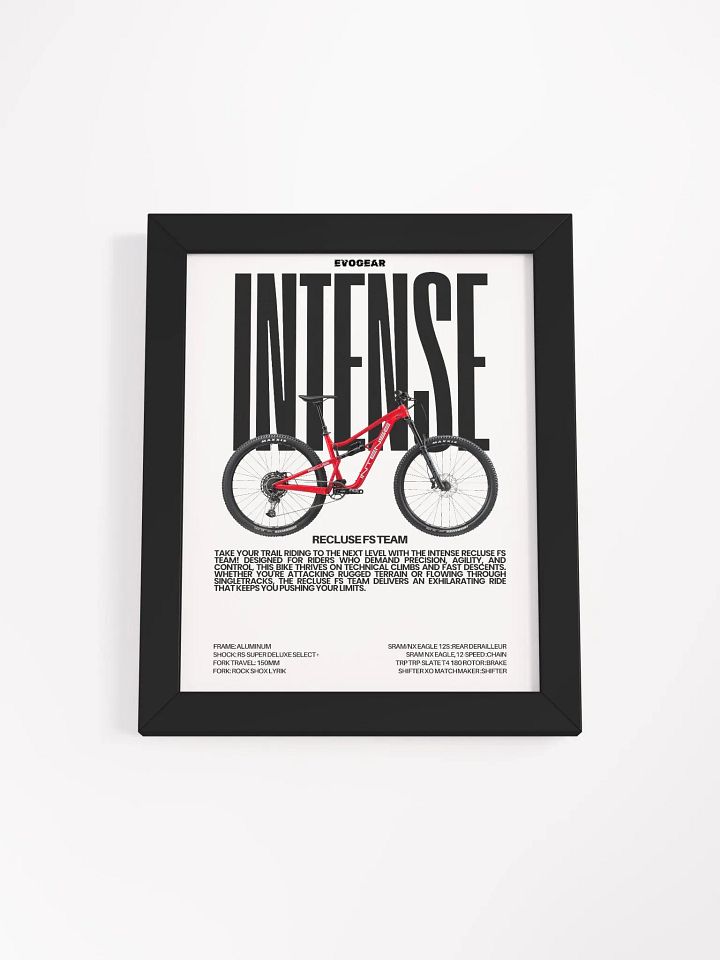 Intense Recluse FS Team Frame product image (5)