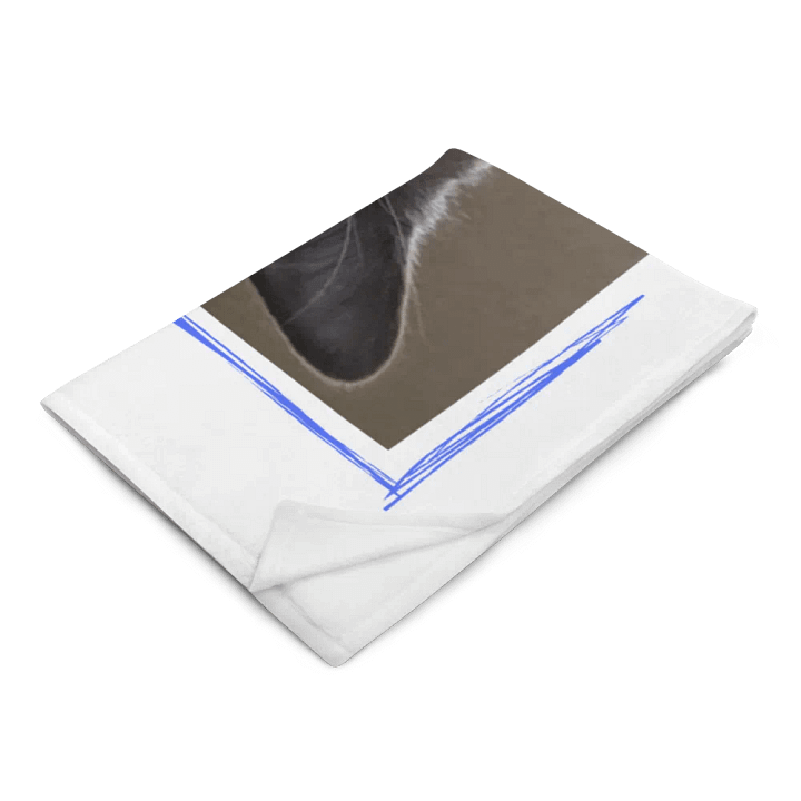 Hiro Is My Hero Throw product image (2)