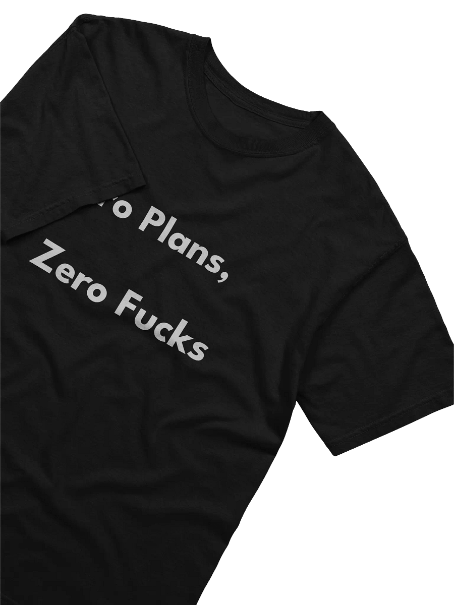 Zero Plans Zero Fs Heavyweight T Shirt product image (3)