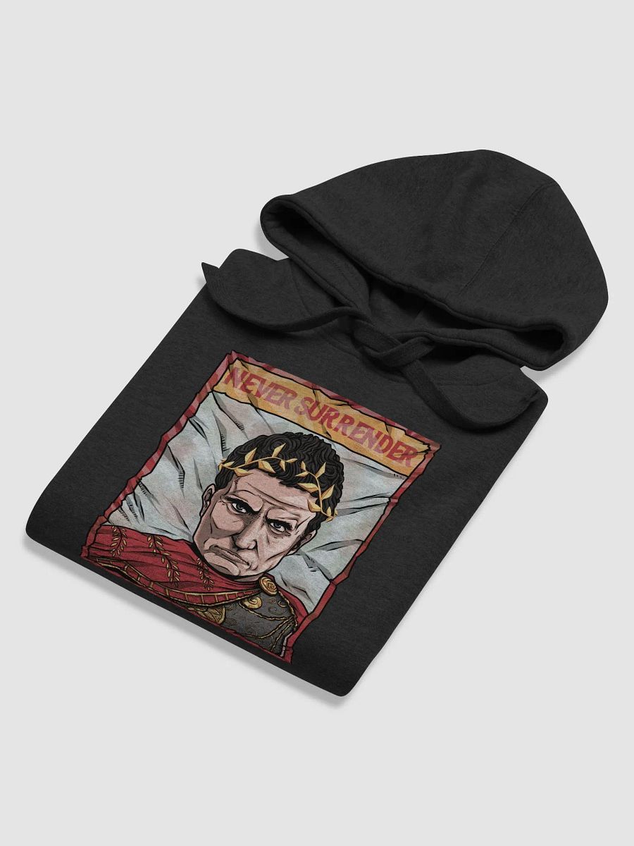 Never Surrender Hoodie product image (5)