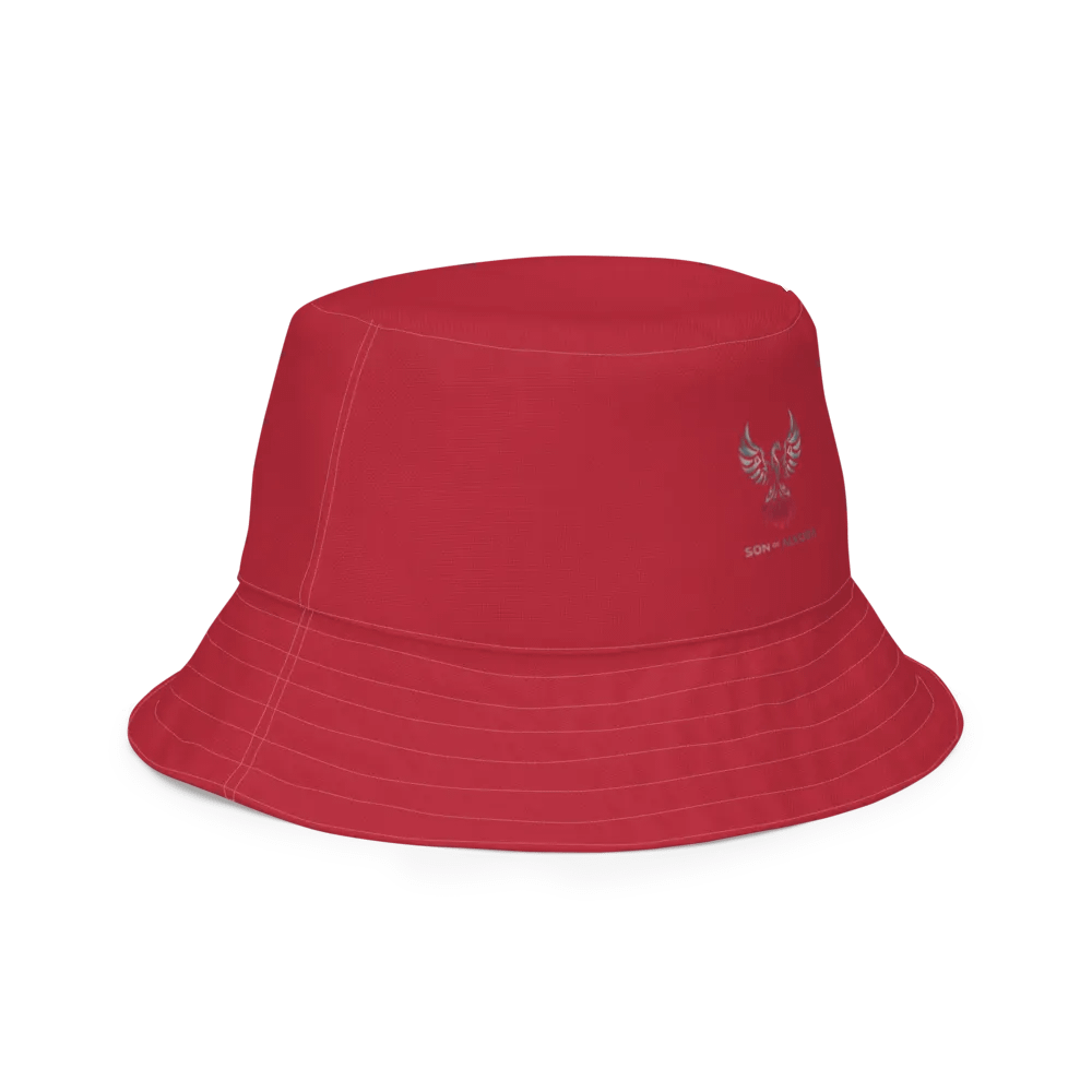 Reversible Metallic Silver & Red Painted Bucket Hat product image (7)