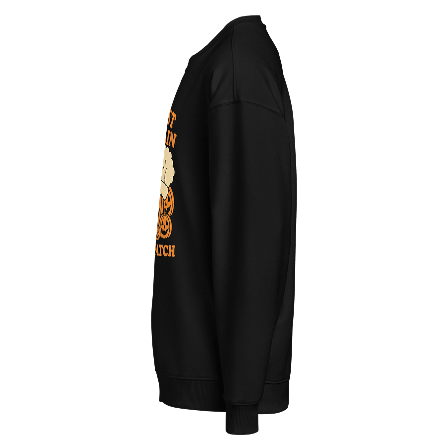 Cutest fall doggo sweater product image (3)