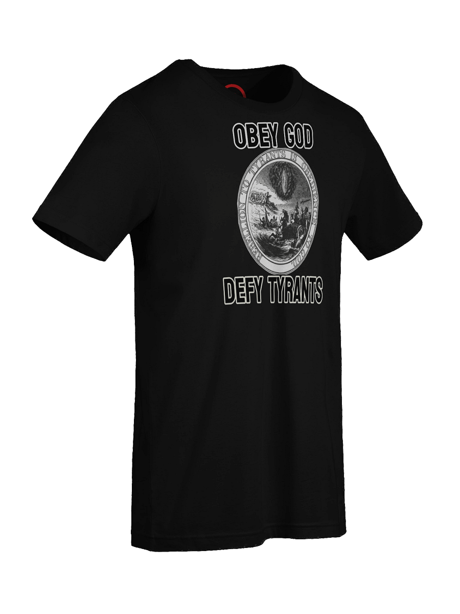 Obey God, Defy Tyrants Tee product image (36)