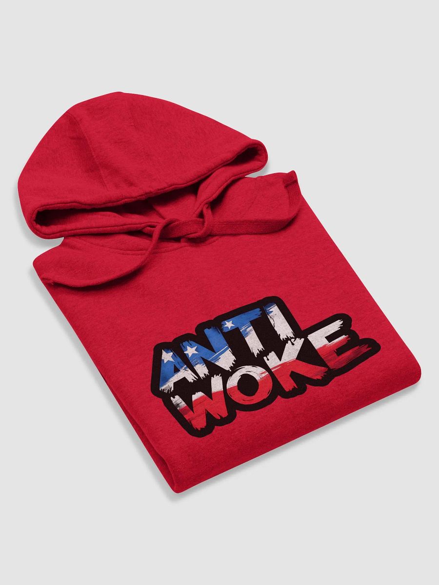 Hoodie: Anti Woke product image (47)
