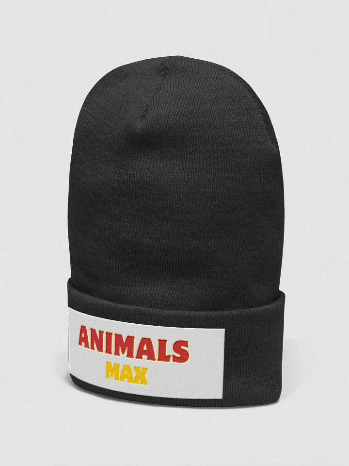 wool hat product image (2)