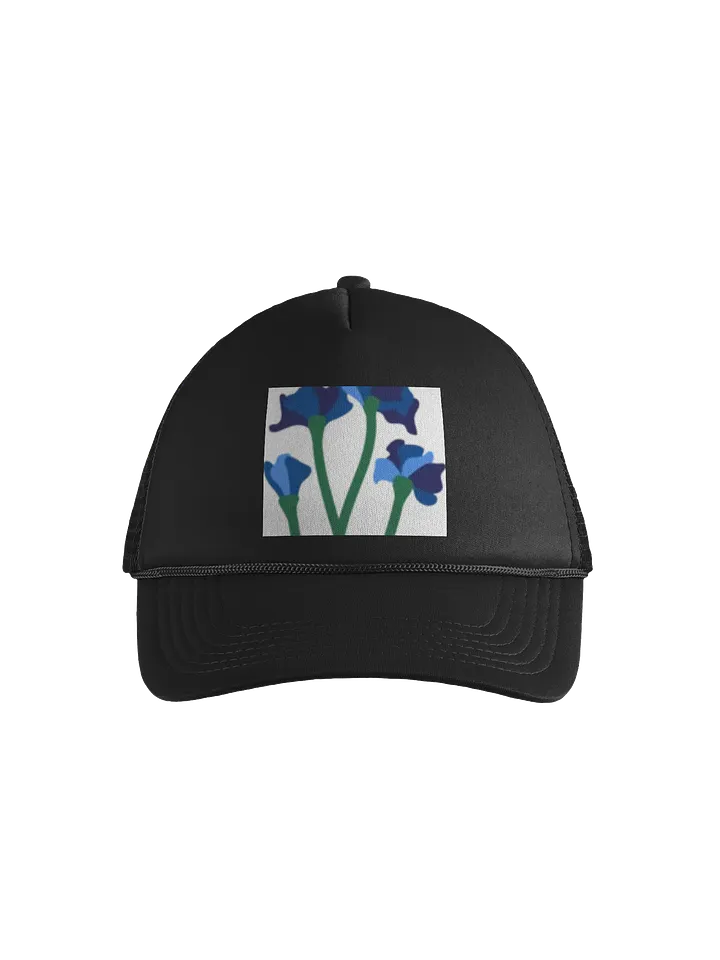 Mũ đen product image (1)