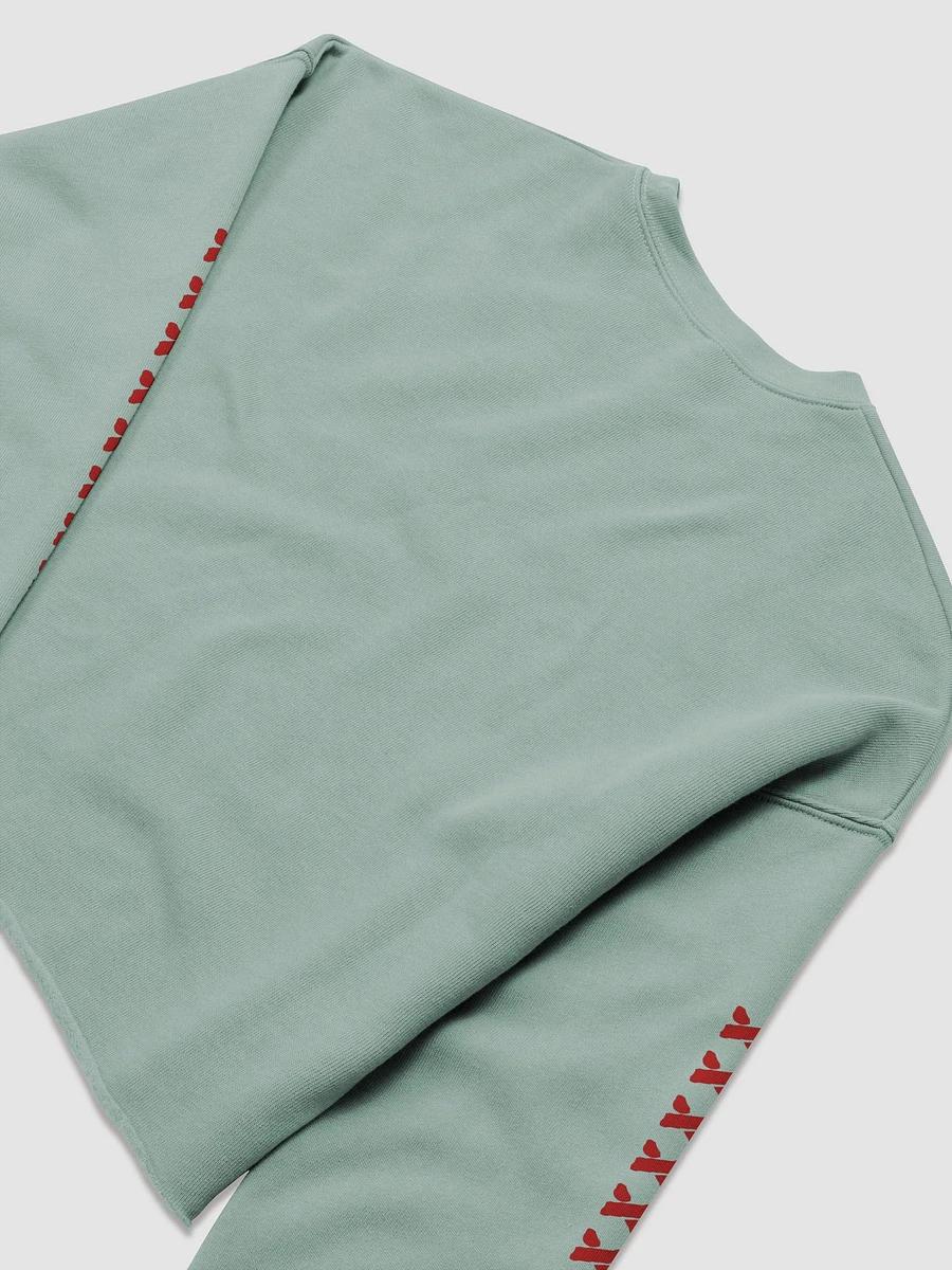 Vanessa Into Madness Crop Long Sleeve product image (24)