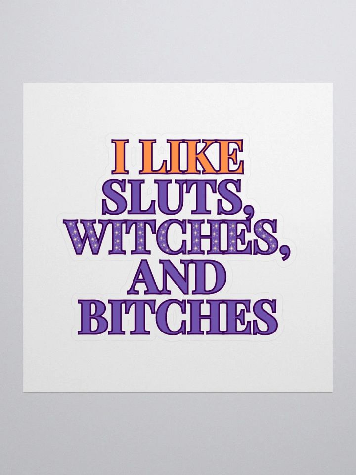 Sluts, Witches, Bitches Sticker product image (1)