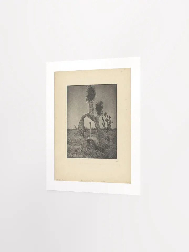 The Contortionist by Louis Fleckenstein (1930) - Print product image (2)