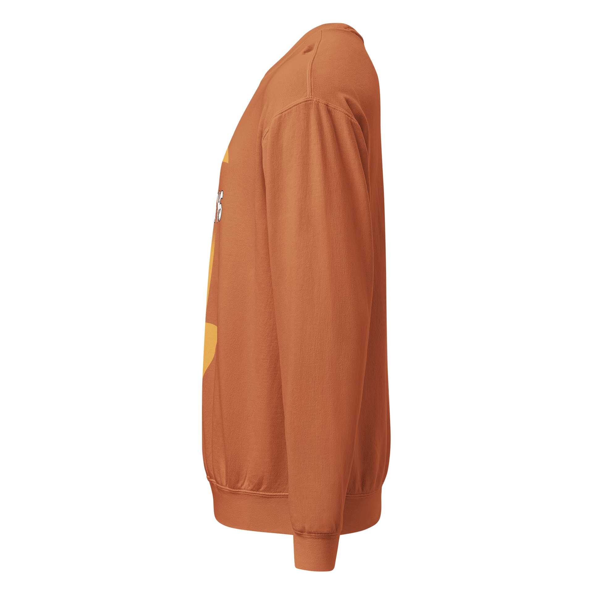 Delia's "Stuff This" Sweater product image (3)