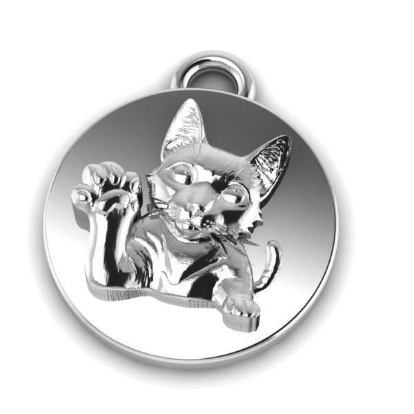 Cat product image (1)