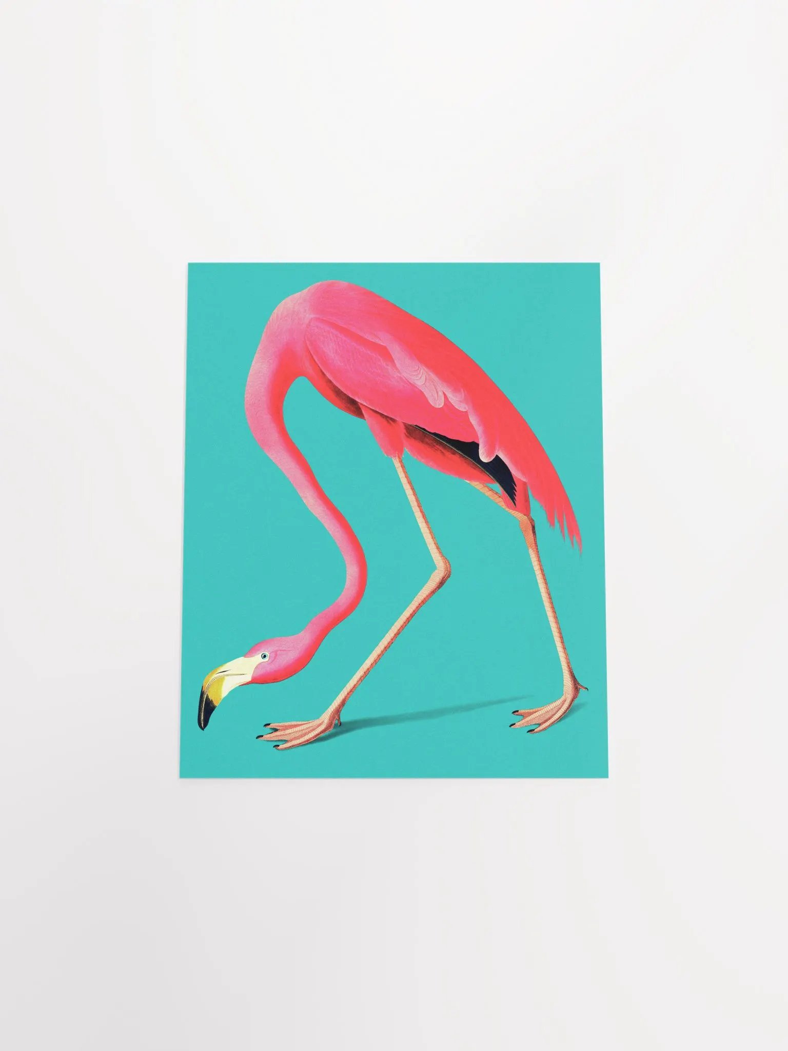 Vintage Flamingo Art Print product image (12)