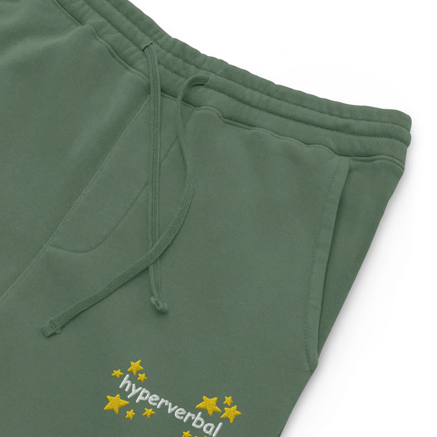 hyperverbal (comic sans and stars) embroidered pigment dyed joggers product image (6)
