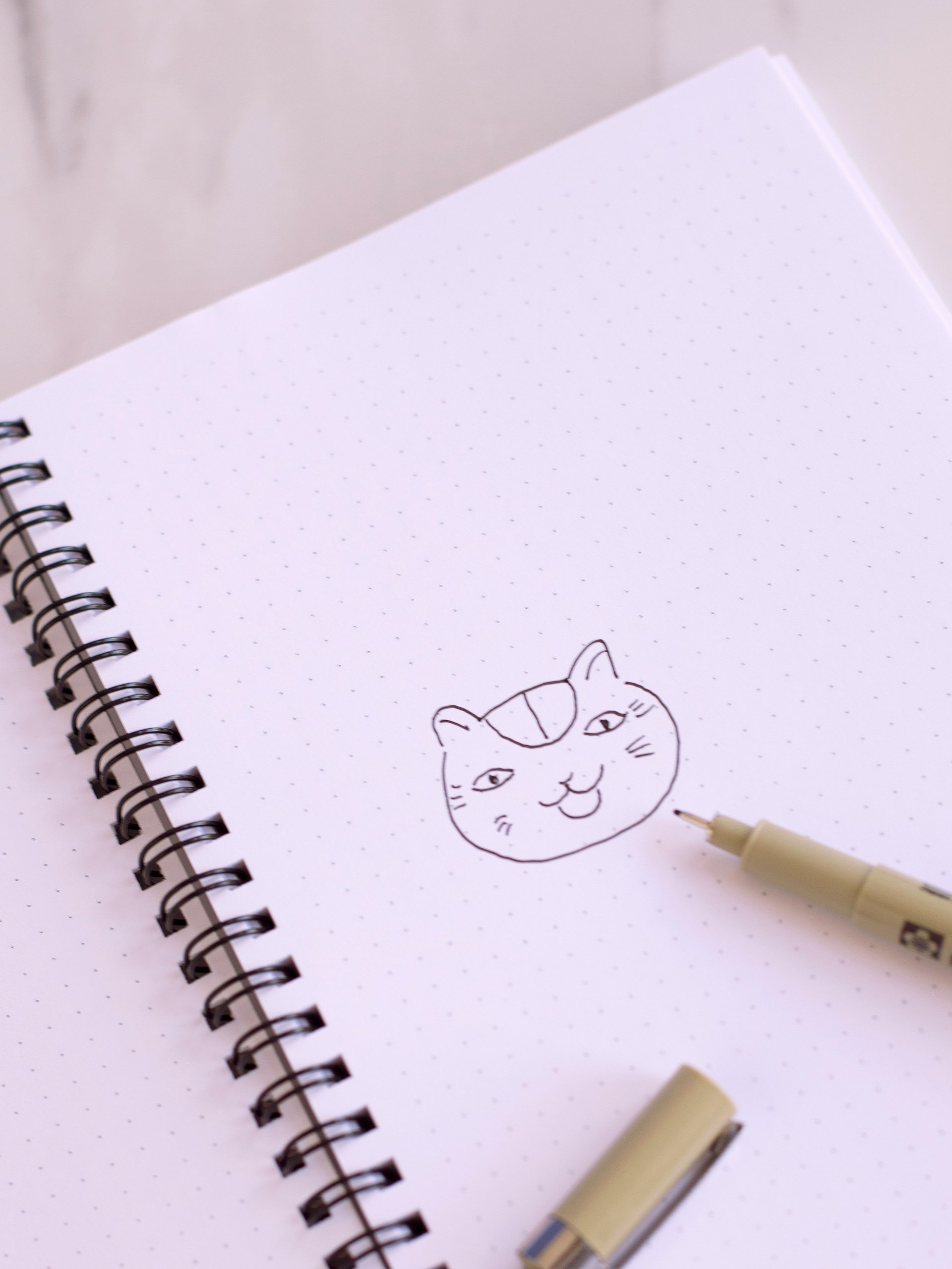 Born to Read Shoujo Notebook (Trans Flag) product image (5)