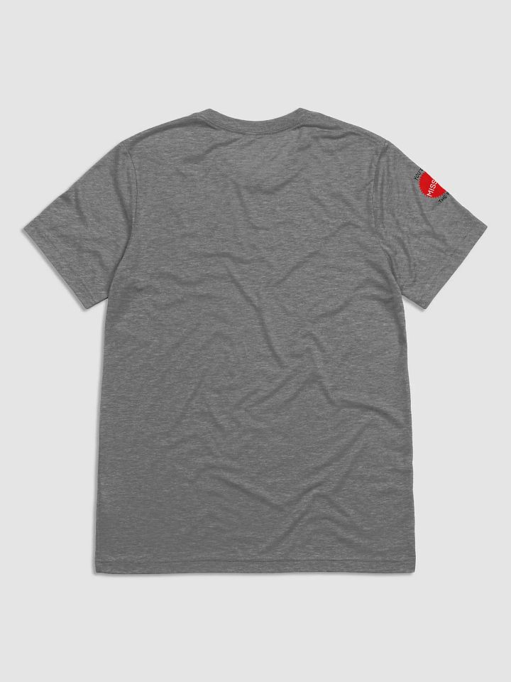 HOLLYWEIRD: Symbolism, Satanism and Sacrifices - Triblend Short Sleeve T-Shirt product image (2)