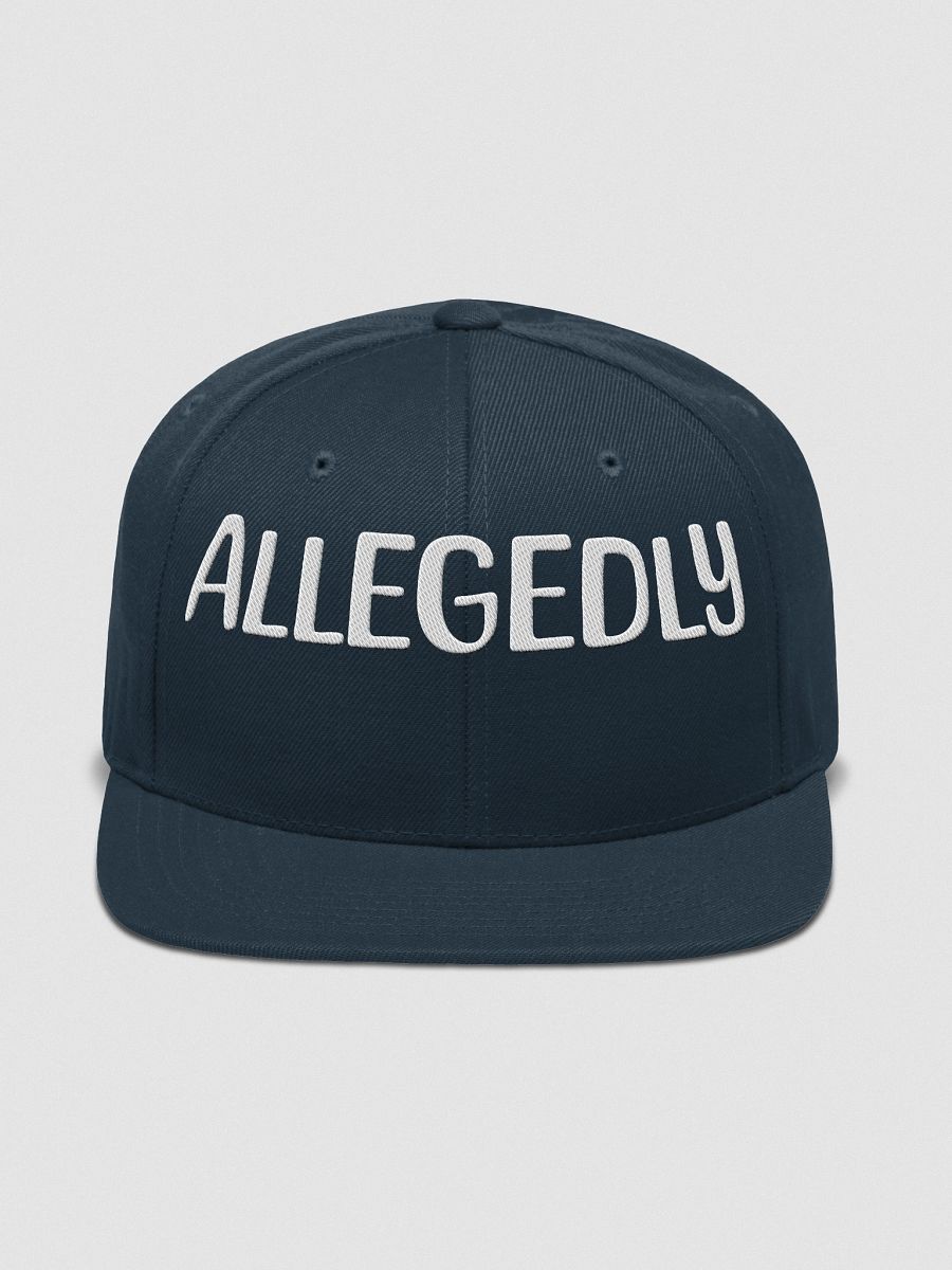 ALLEGEDLY POLITICAL EMBROIDERY HAT product image (1)
