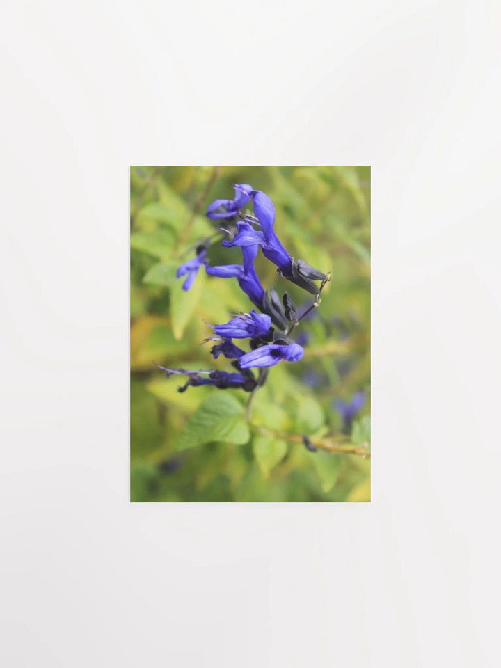 A Study in Flowers 3 product image (9)
