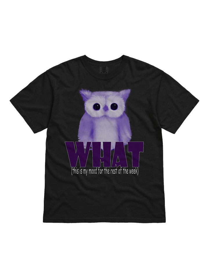 Whimsical 'WHAT.' Owl T-Shirt product image (1)