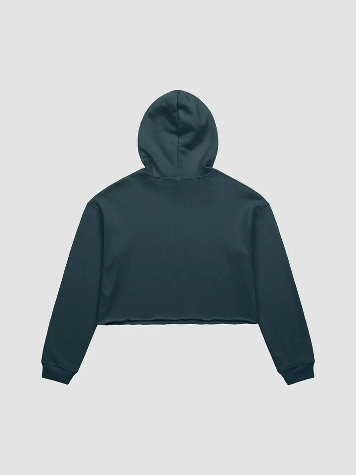 DTK 70's Logo Crop Top Sweatshirt! product image (11)