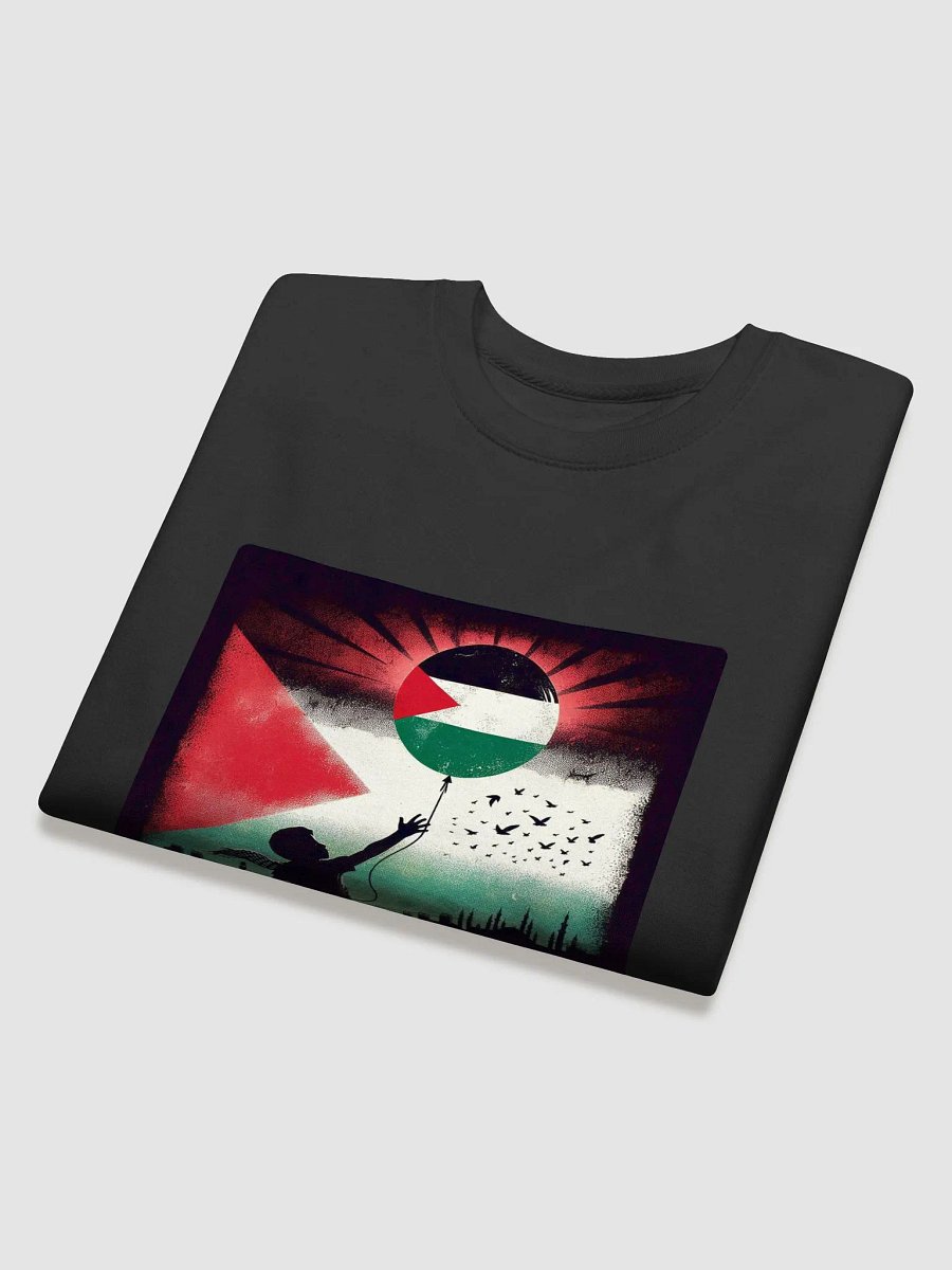 Hopeful Horizon Palestinian Flag Sweatshirt | free palestina product image (40)