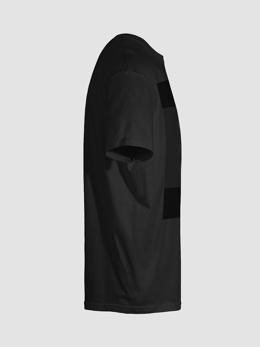 Litfest product image (10)