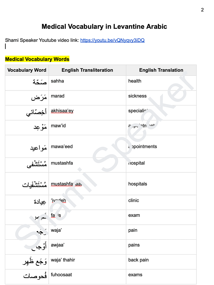 Medical Vocabulary in Levantine Arabic product image (2)