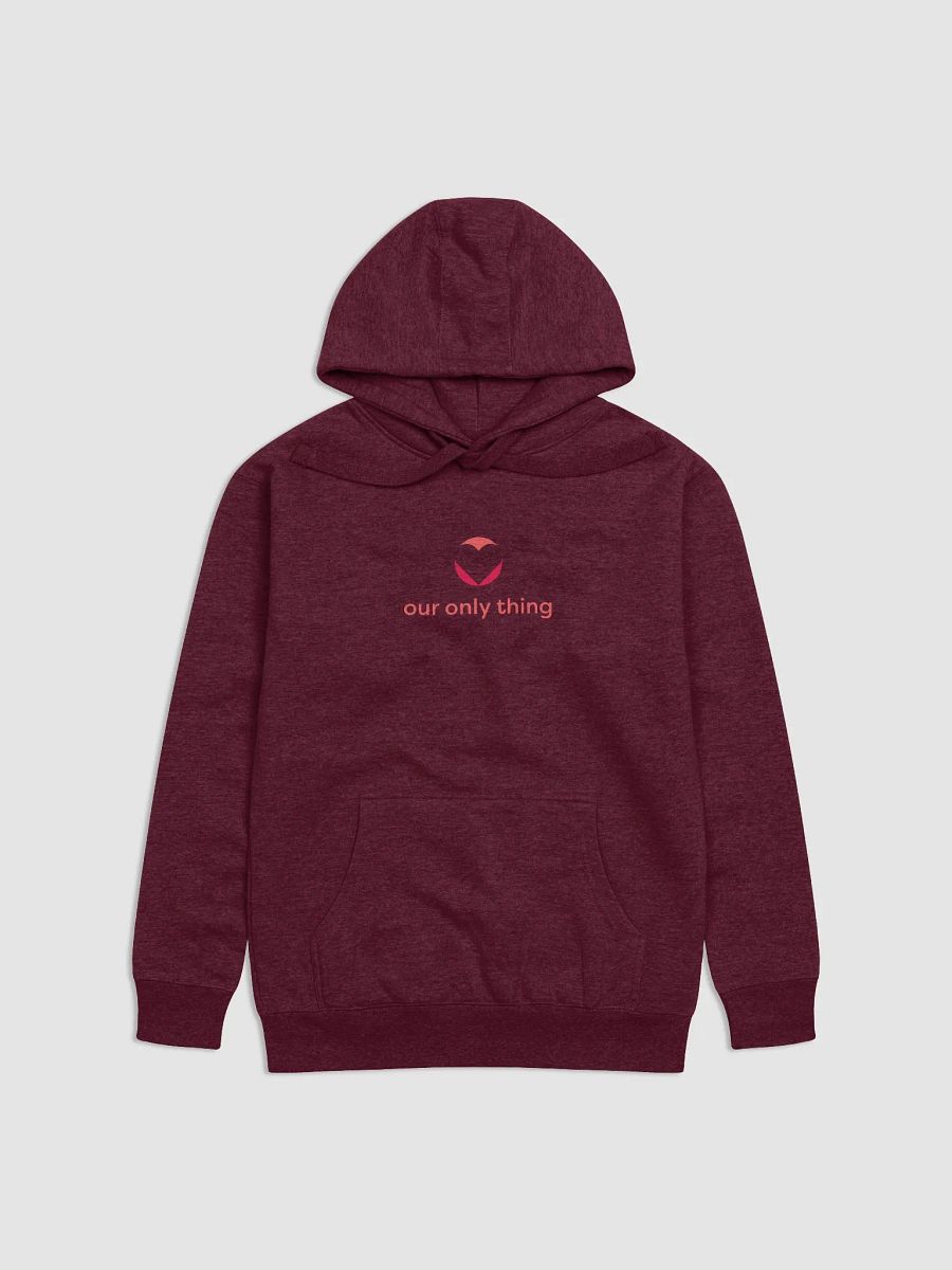 Premium Our Only Thing Unisex Hoodie product image (11)