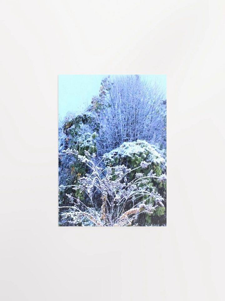 Georgia Winter product image (7)