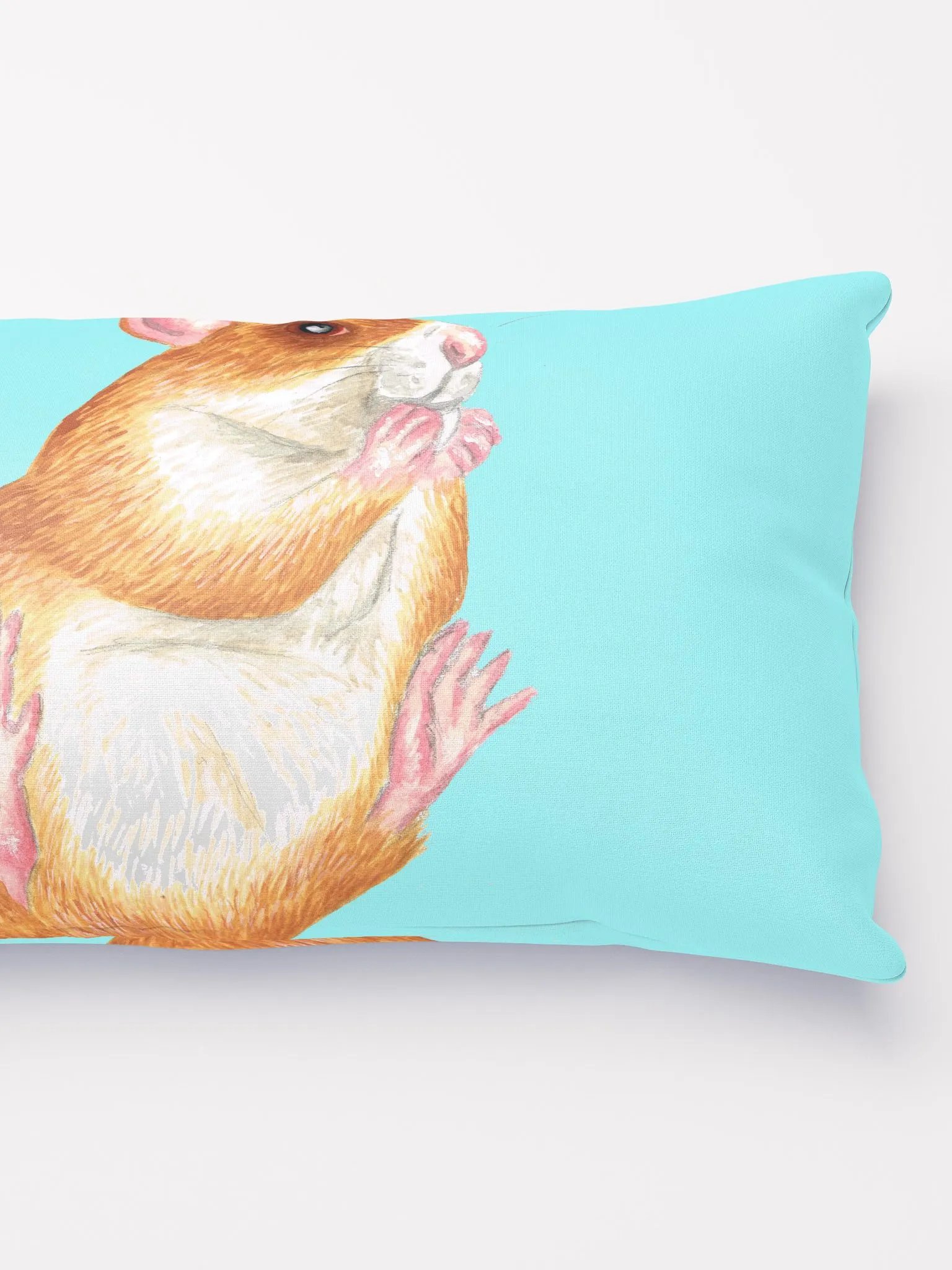 rat eating treat pillows product image (3)