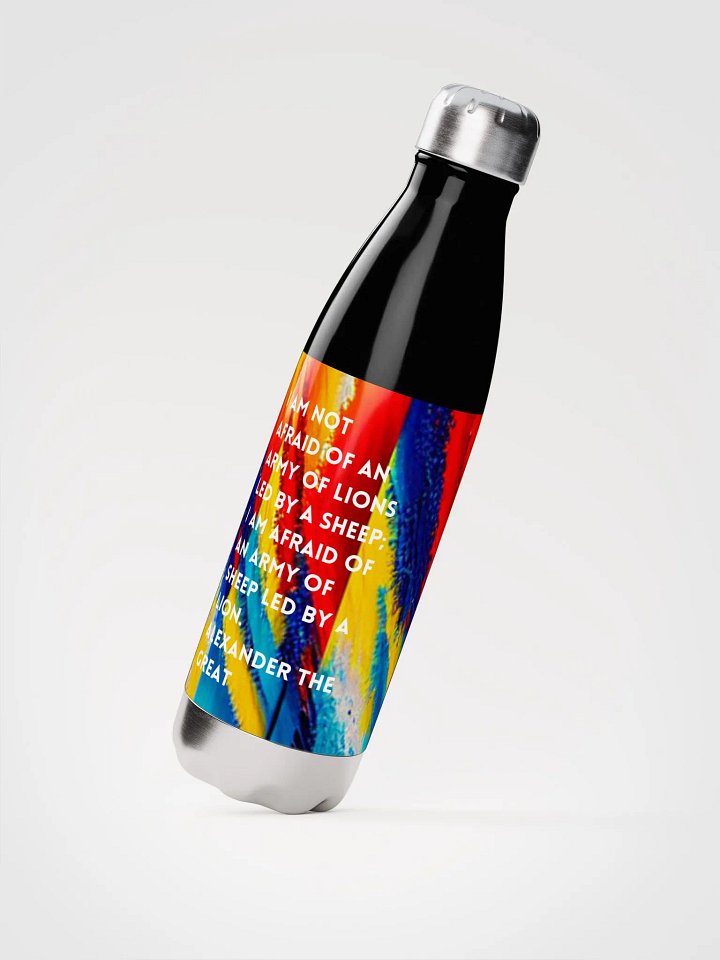 Stainless Steel Water Bottle product image (2)