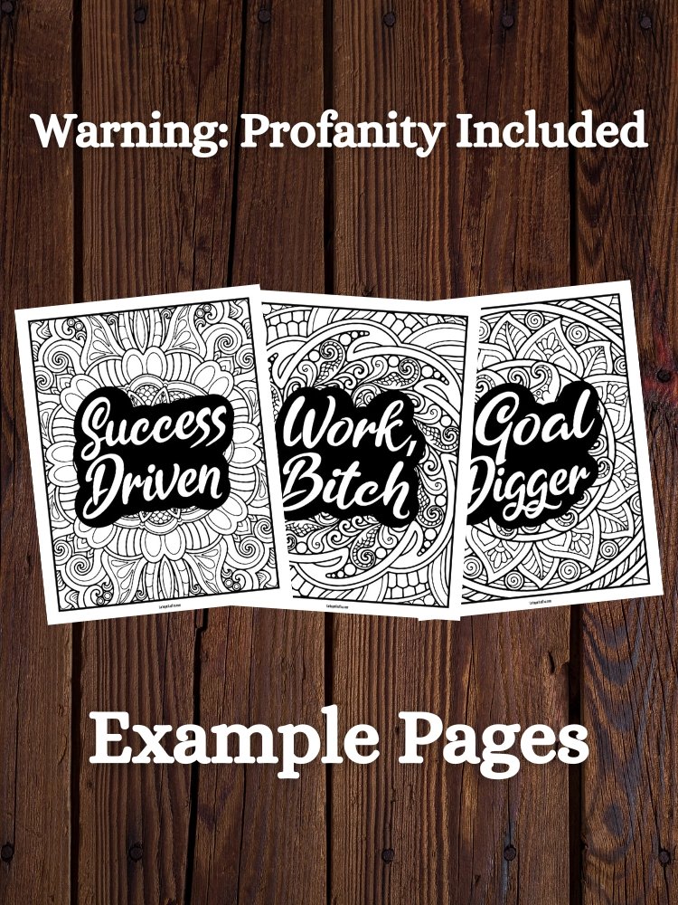 Kinda Sweet, Kinda Savage Adult Coloring Book | Profanity + Motivational Quotes product image (3)