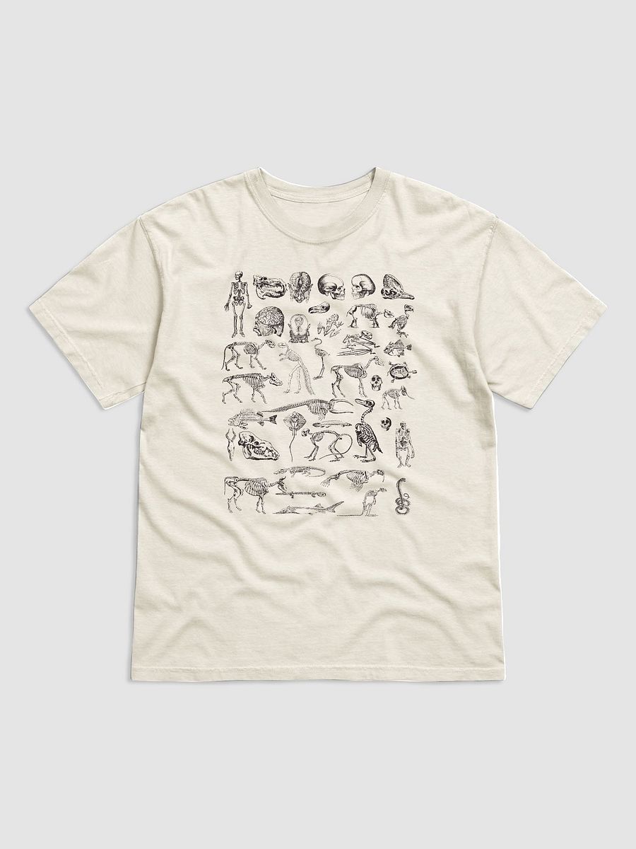 Vintage-Style Human and Animal Skeletons T-Shirt | Vintage-Style Dark Academia Shirt for Osteology and Anthropology Enthusiasts product image (12)
