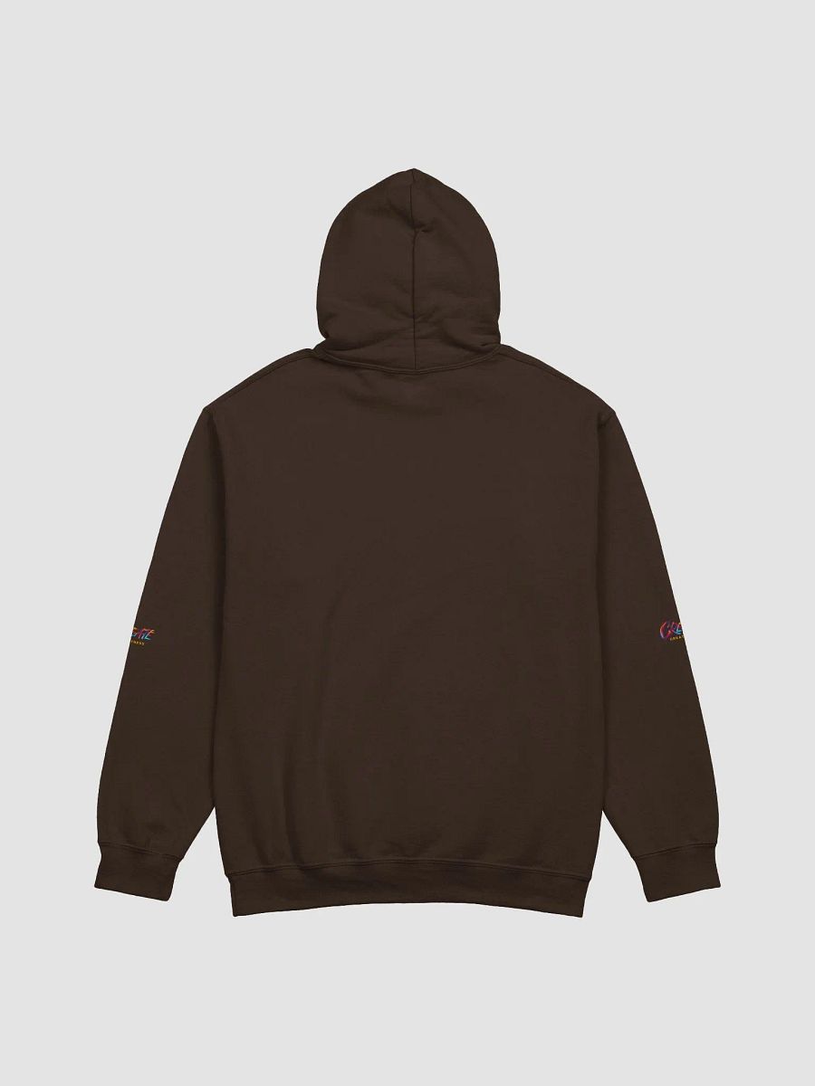 Born to Prosper Hoodie product image (3)