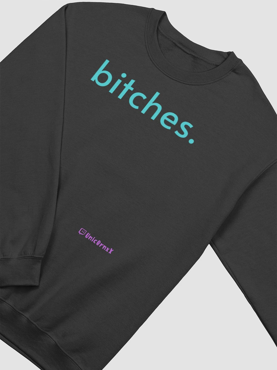 bitches but warm product image (20)