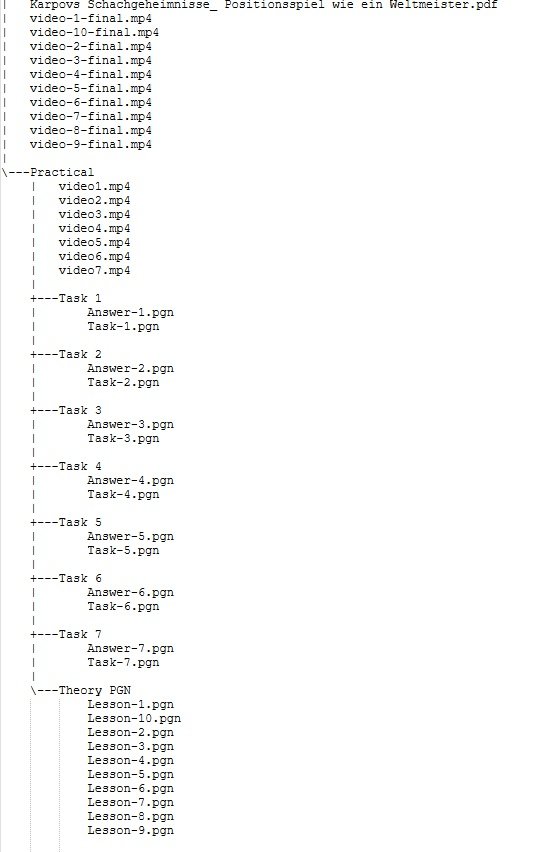 Karpovs Schachgeheimnisse: Positionsspiel wie ein Weltmeister product image (5)
