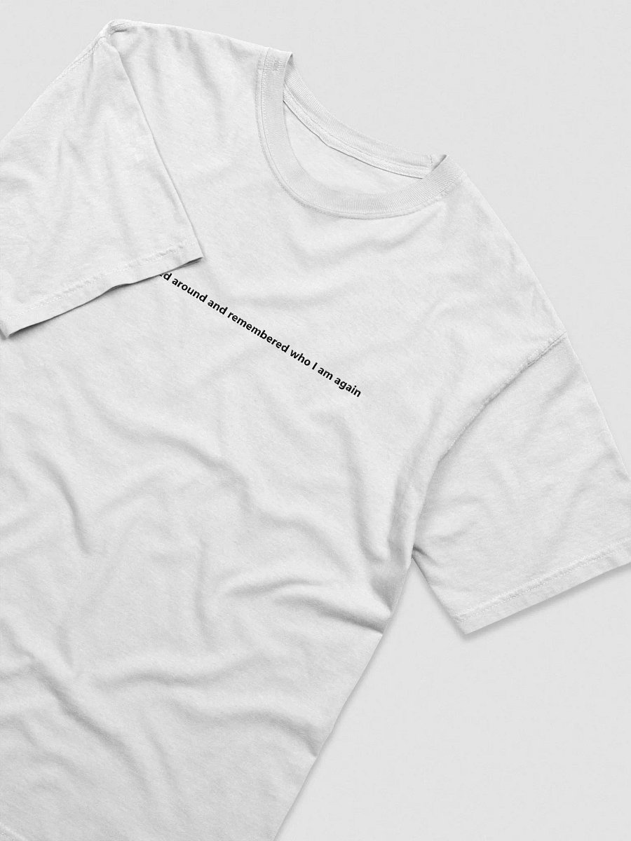 I done fucked around and remembered who I am again T-Shirt product image (2)