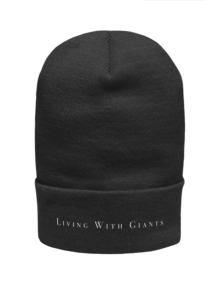 Cuffed Beanie product image (1)