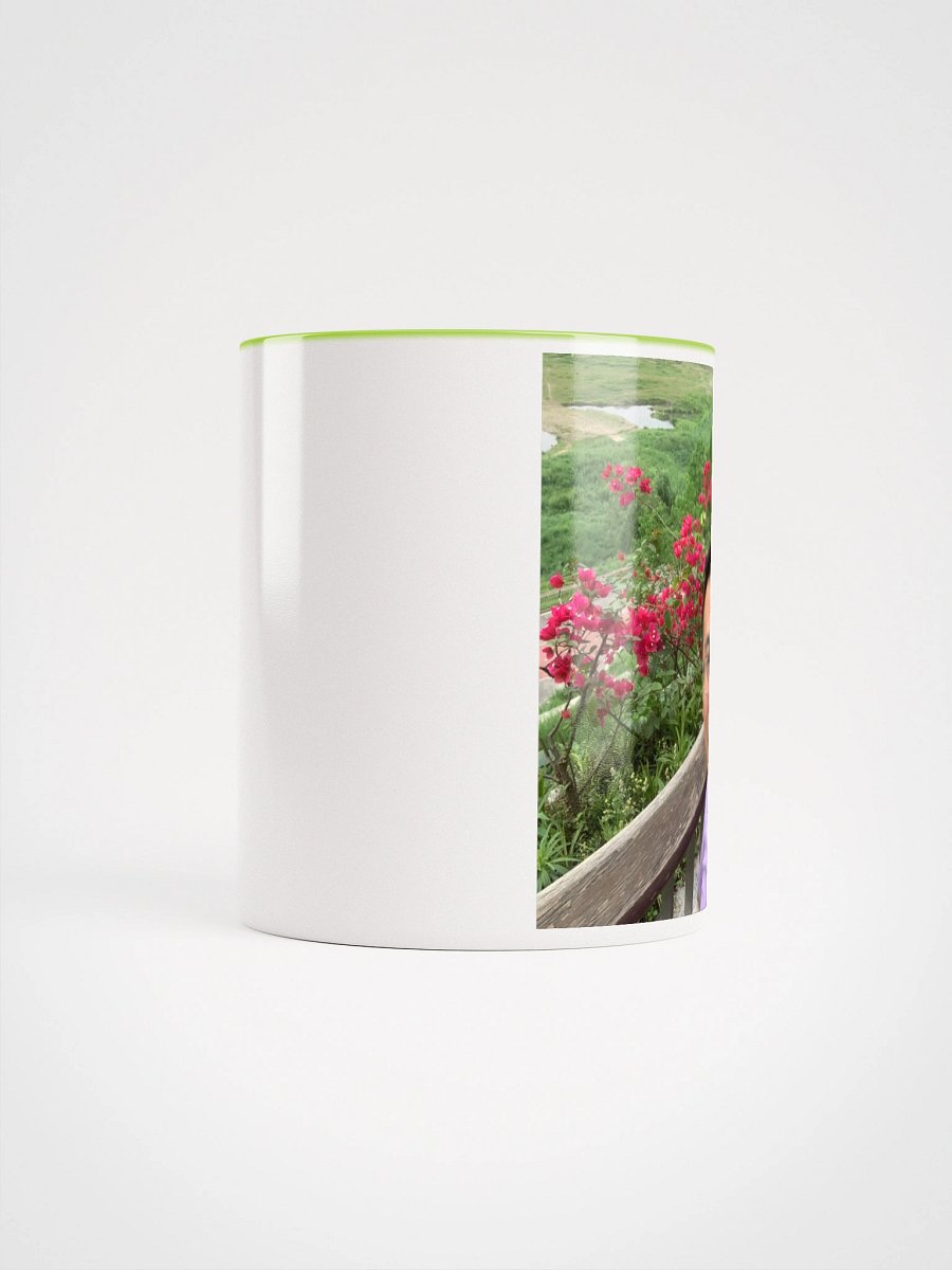 Ceramic Mug with Color Inside: at park product image (66)