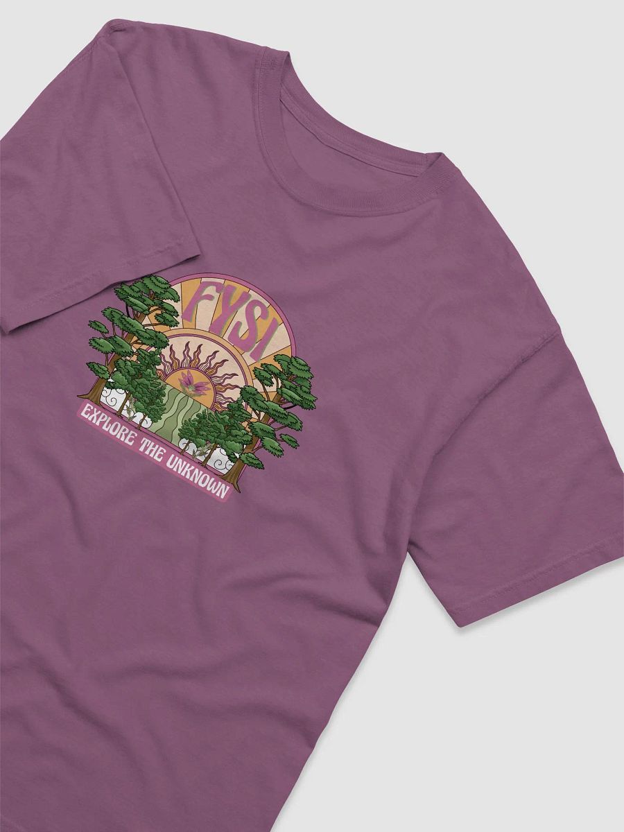 Emerge comfort colors heavyweight organic cotton t-shirt product image (3)