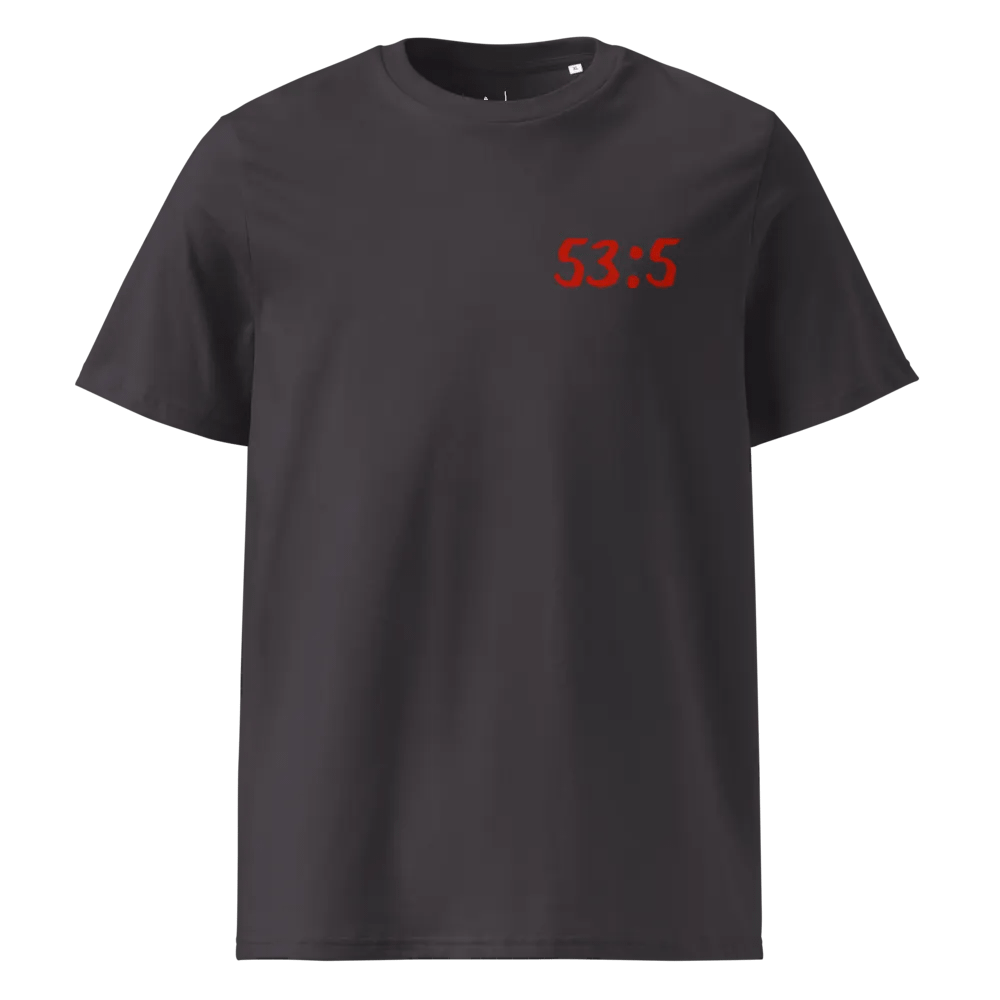 Isaiah 53:5 | Unisex Shirt product image (1)