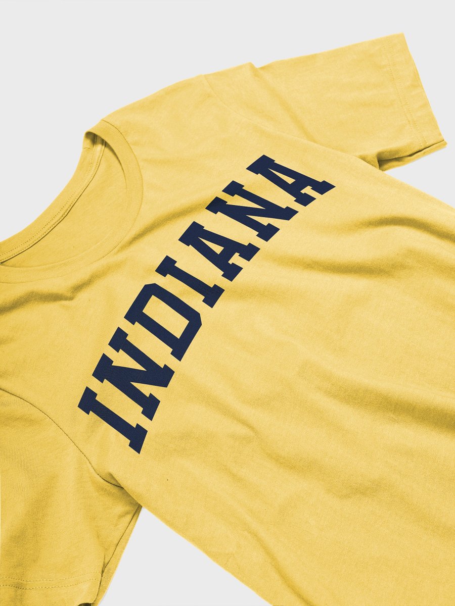 Indiana Vintage Stylish Supersoft Unisex T-Shirt product image (2)