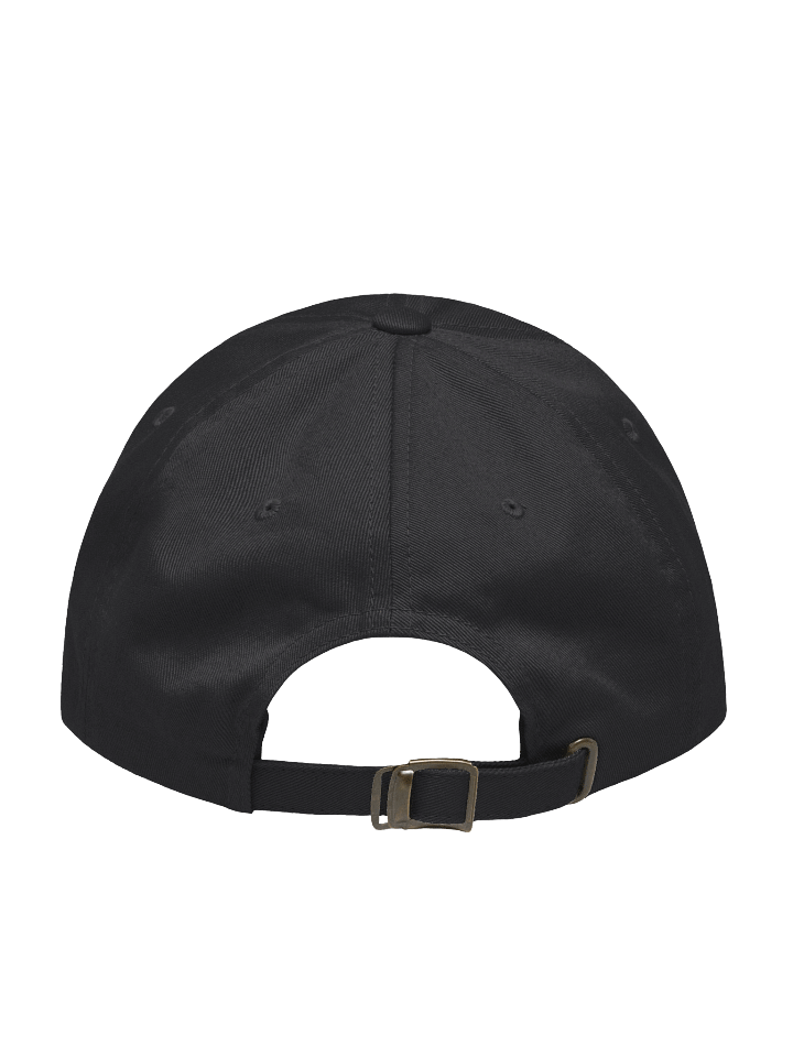 BTSSFF Embroidered "Dad Hat" product image (6)
