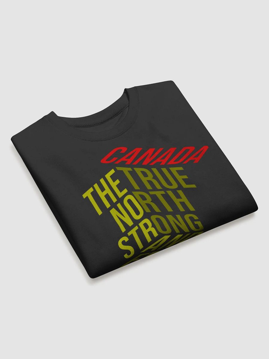 True North 3D Sweatshirt product image (3)