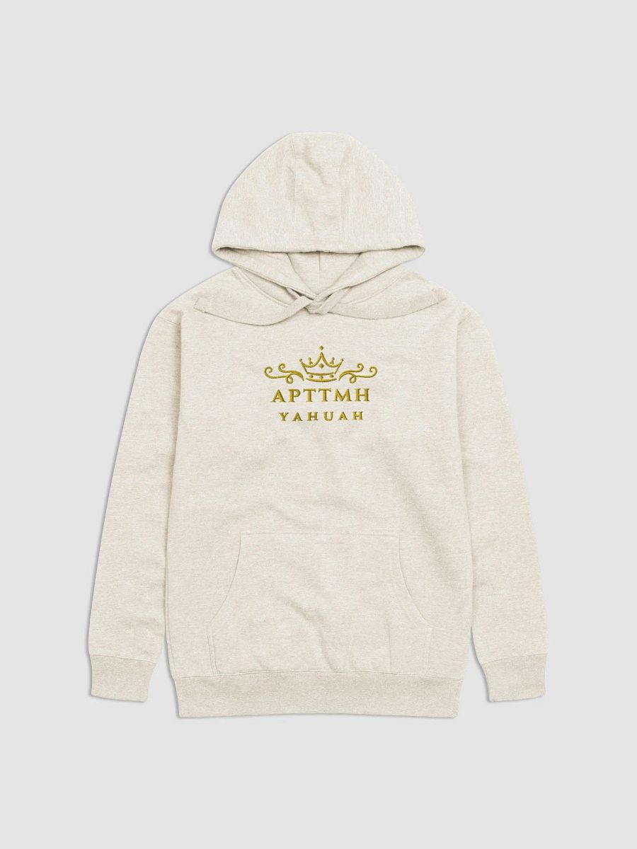 APTTMH Premium Hoodie product image (5)
