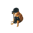 Just Japahef