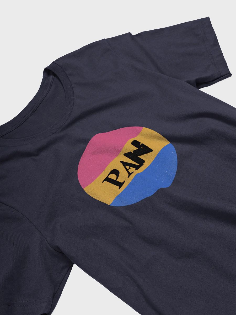 pansexual punk t-shirt product image (3)